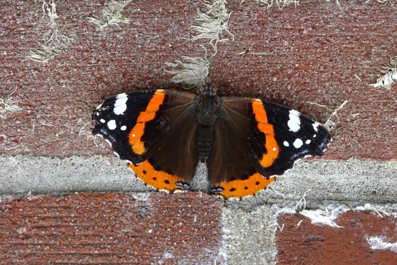 Bed and Breakfast Beekse Brink Loerbeek Esterno foto
